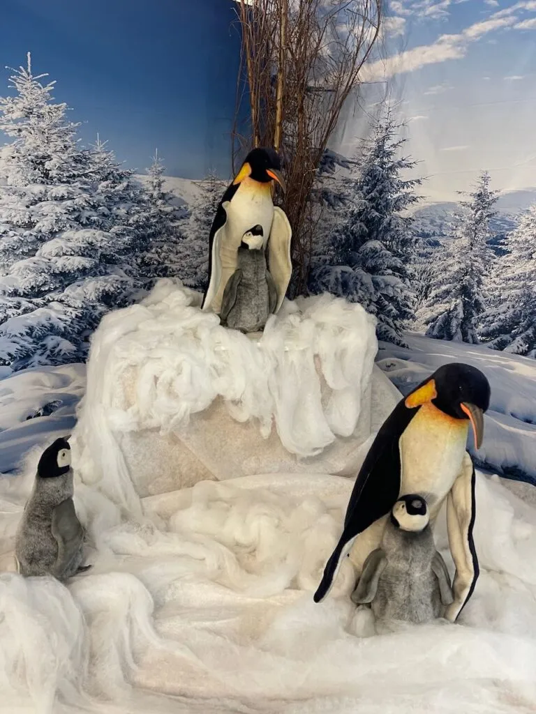 Pinguin &ndash; Weihnachtsautomaten mieten