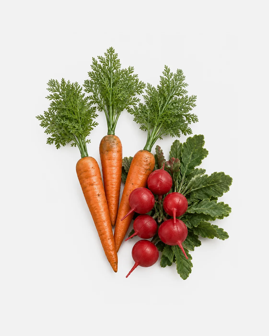 Autres, Légumes, carottes et radis