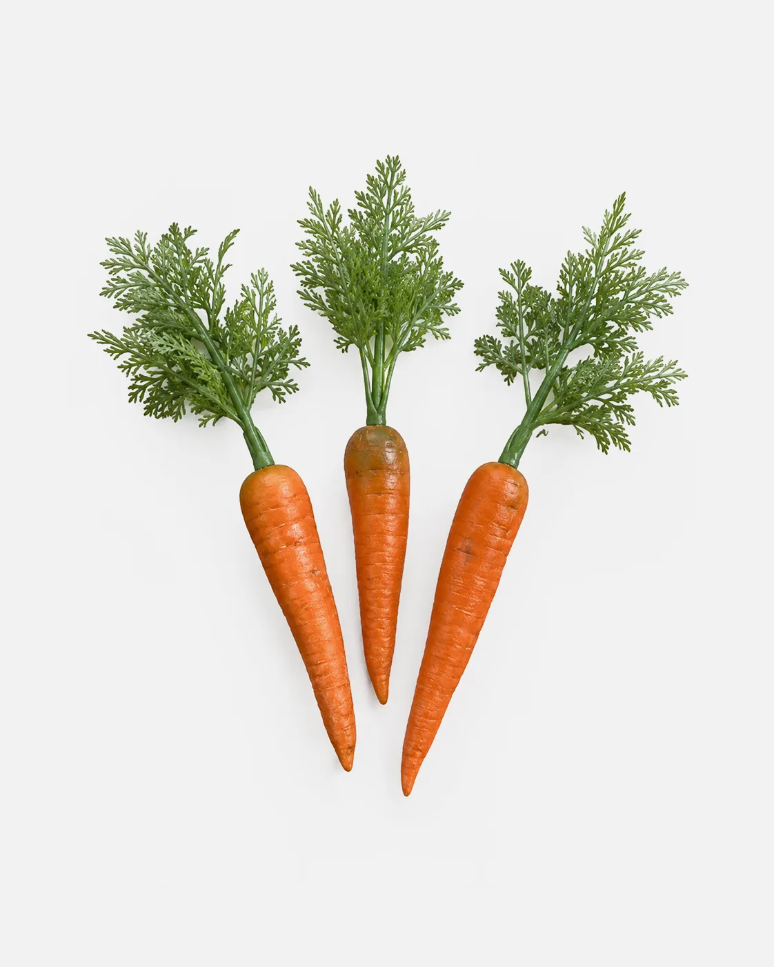 Autres, Légumes, carottes et radis