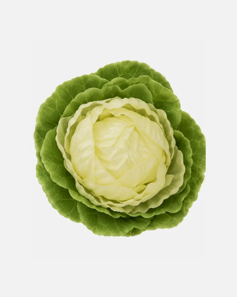 Autres, Légumes, choux vert