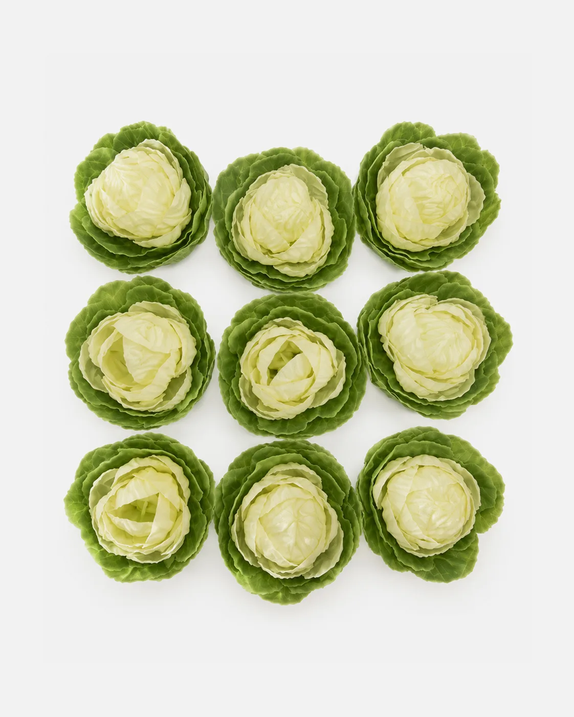 Autres, Légumes, choux vert
