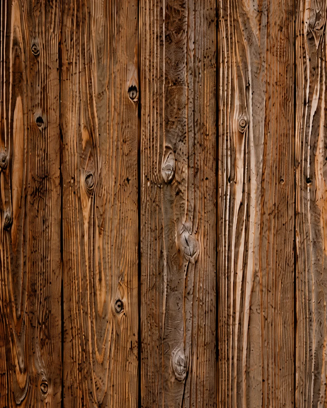 Backdrop, Boisé rigide, fond