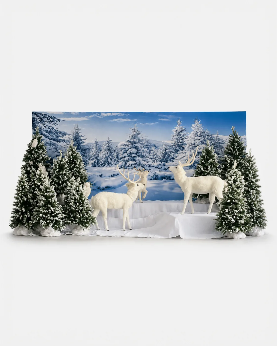 Backdrop, Hivers et neige