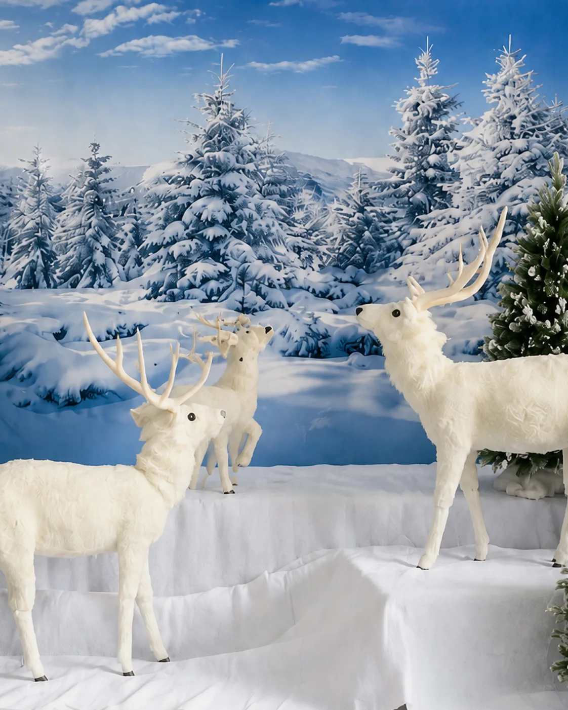 Backdrop, Hivers et neige