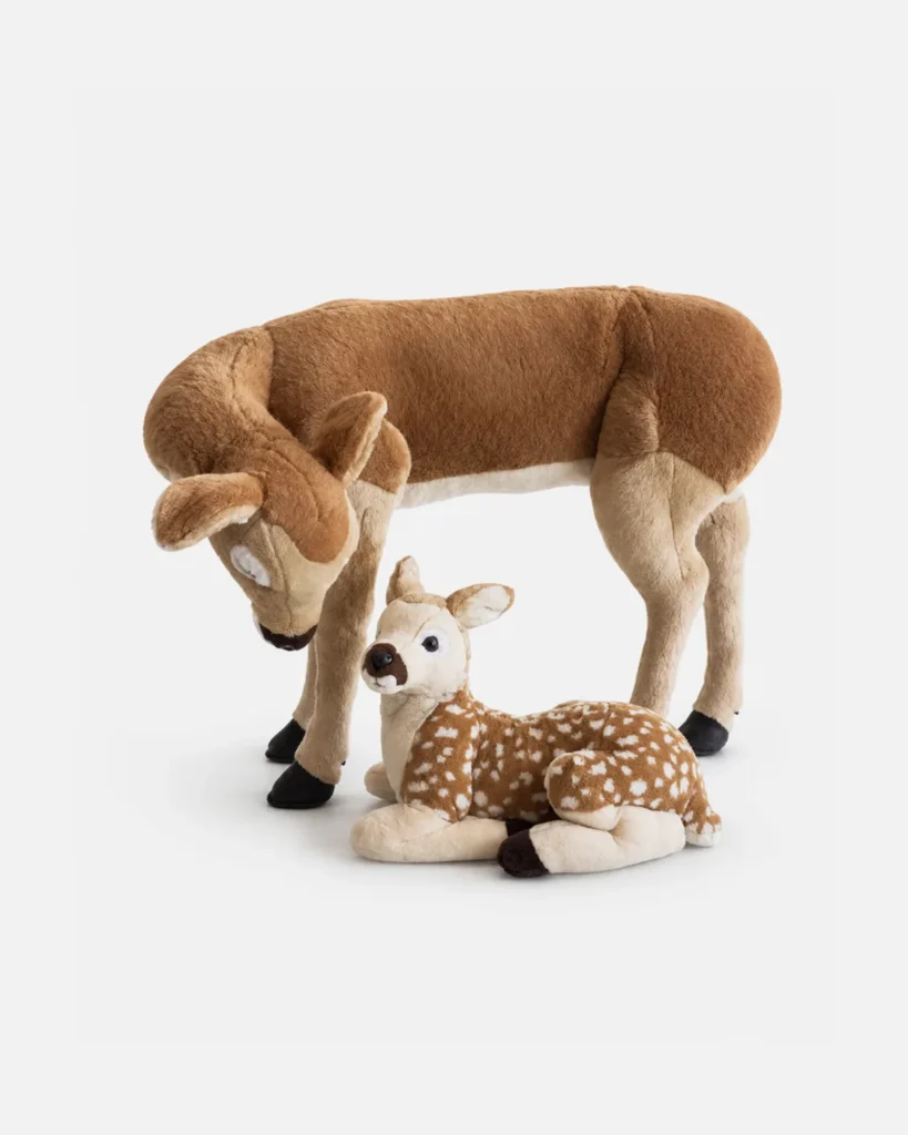 Cerf, Maman biche et faon