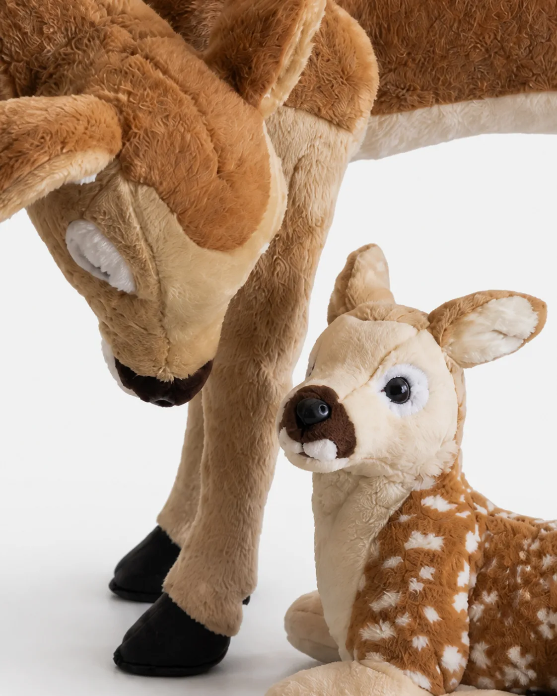 Cerf, Maman biche et faon