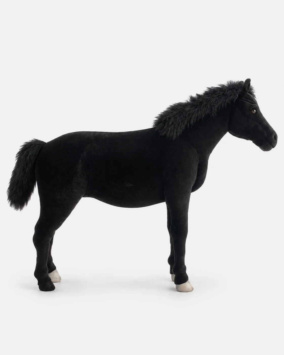 Cheval noir