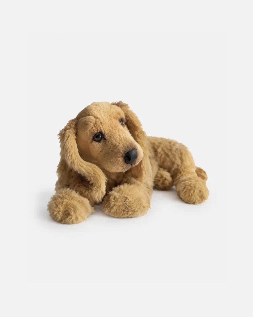 Chien, Cocker, couché