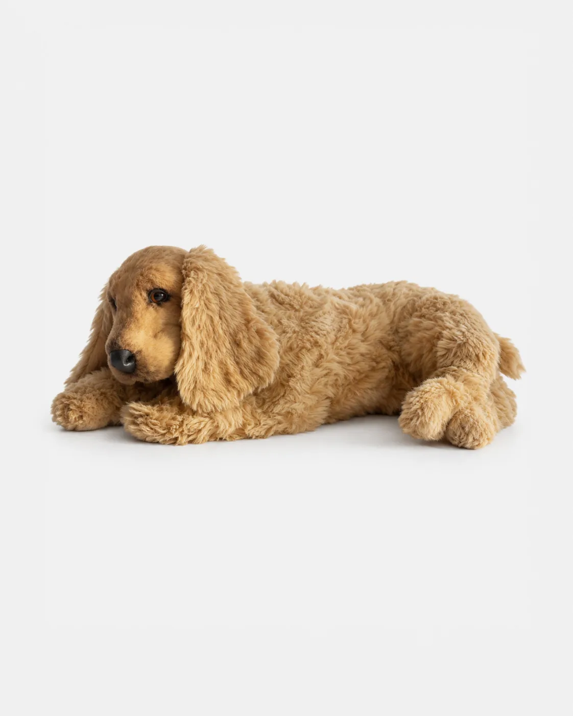 Chien, Cocker, couché
