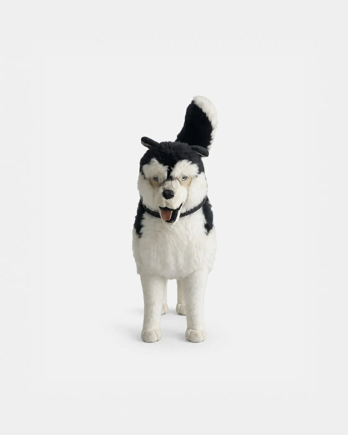 Chien, de traîneau, 1