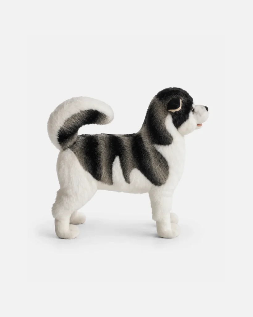 Chien, de traîneau, 2