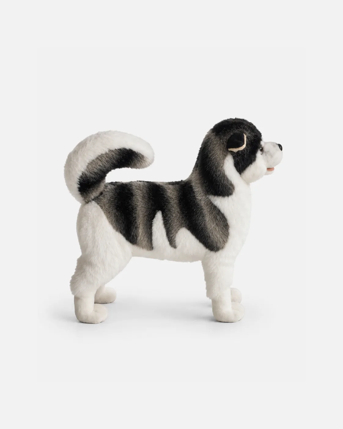 Chien, de traîneau, 2