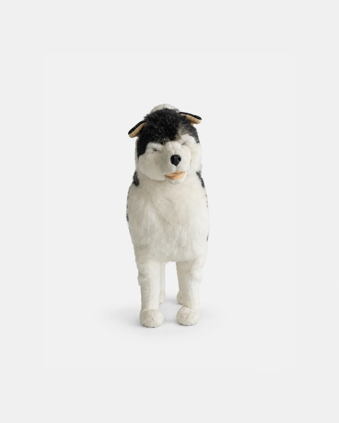 Chien, de traîneau, 2