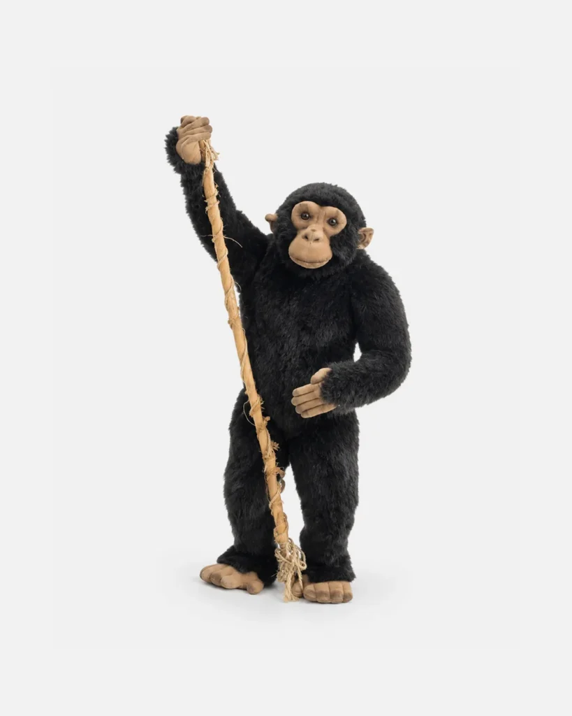 Chimpanzé