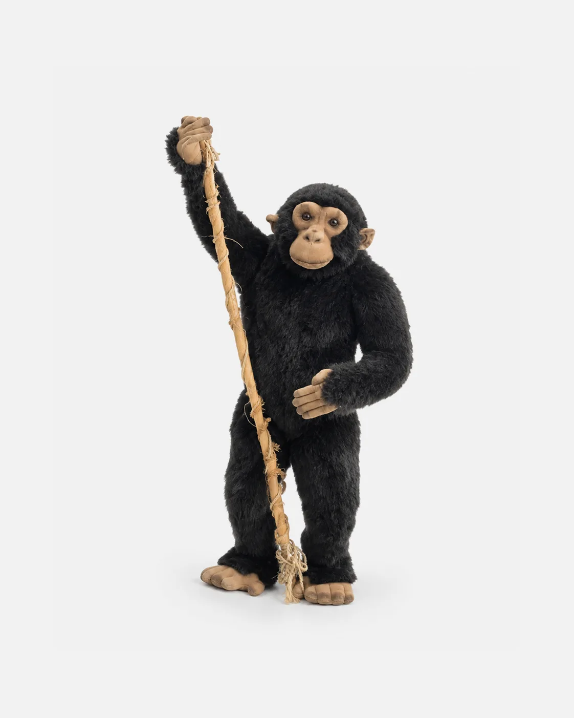 Chimpanzé