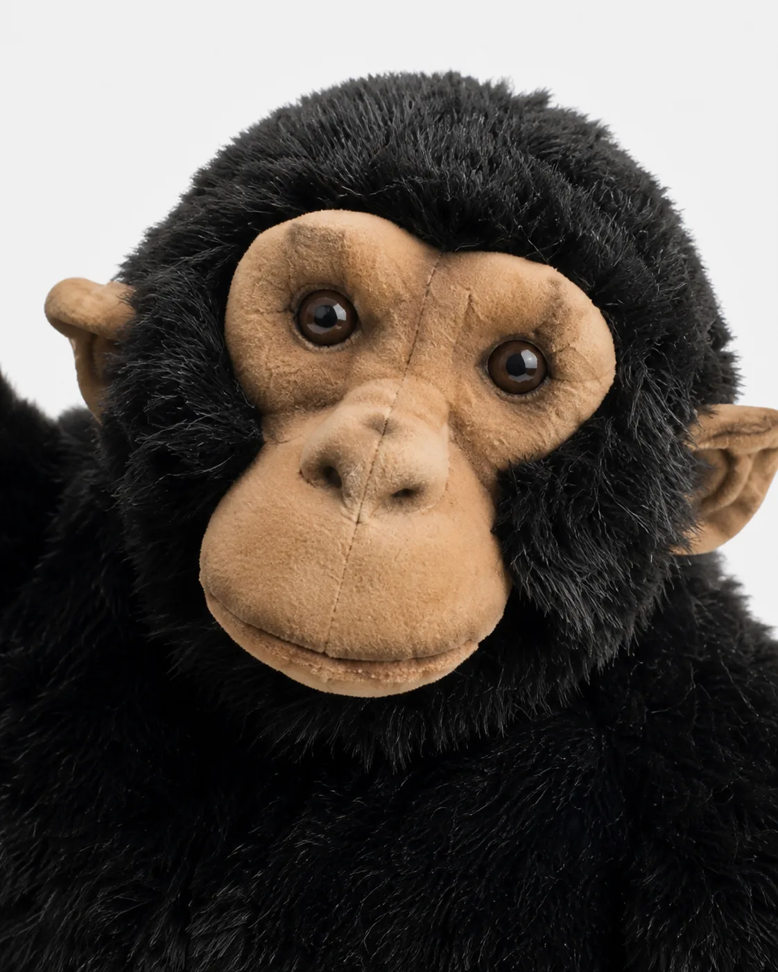 Chimpanzé