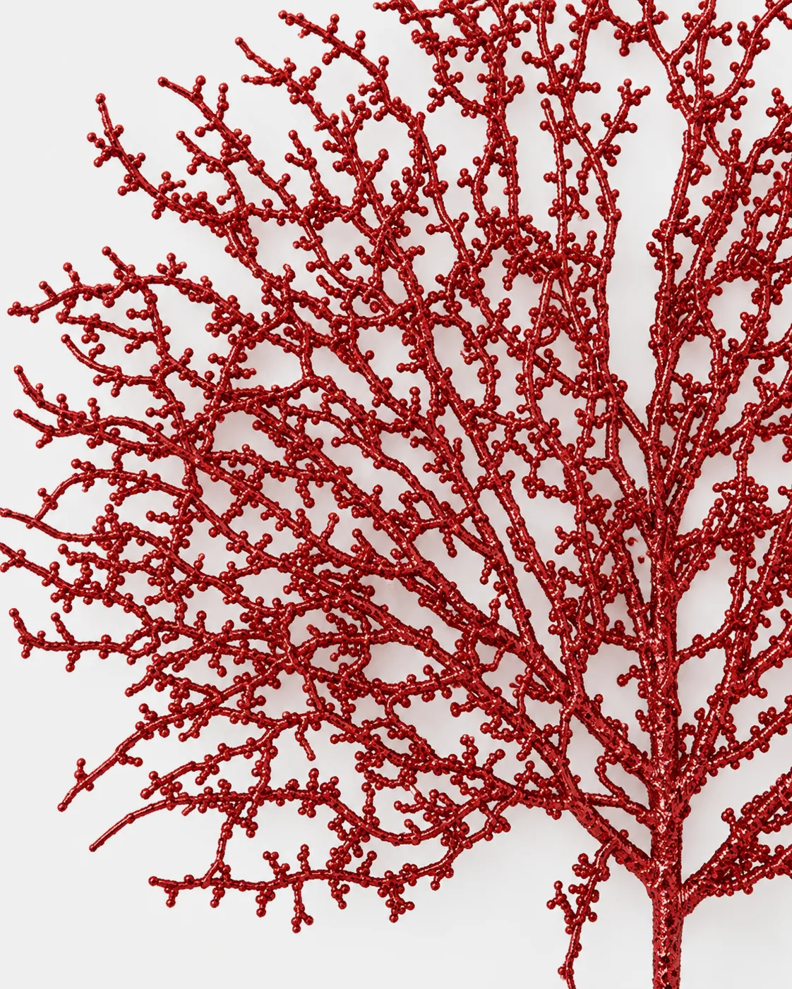 Coral, red