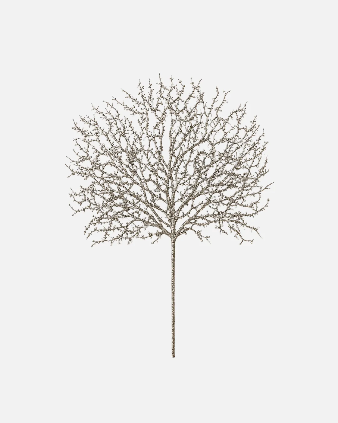 Coral, silver