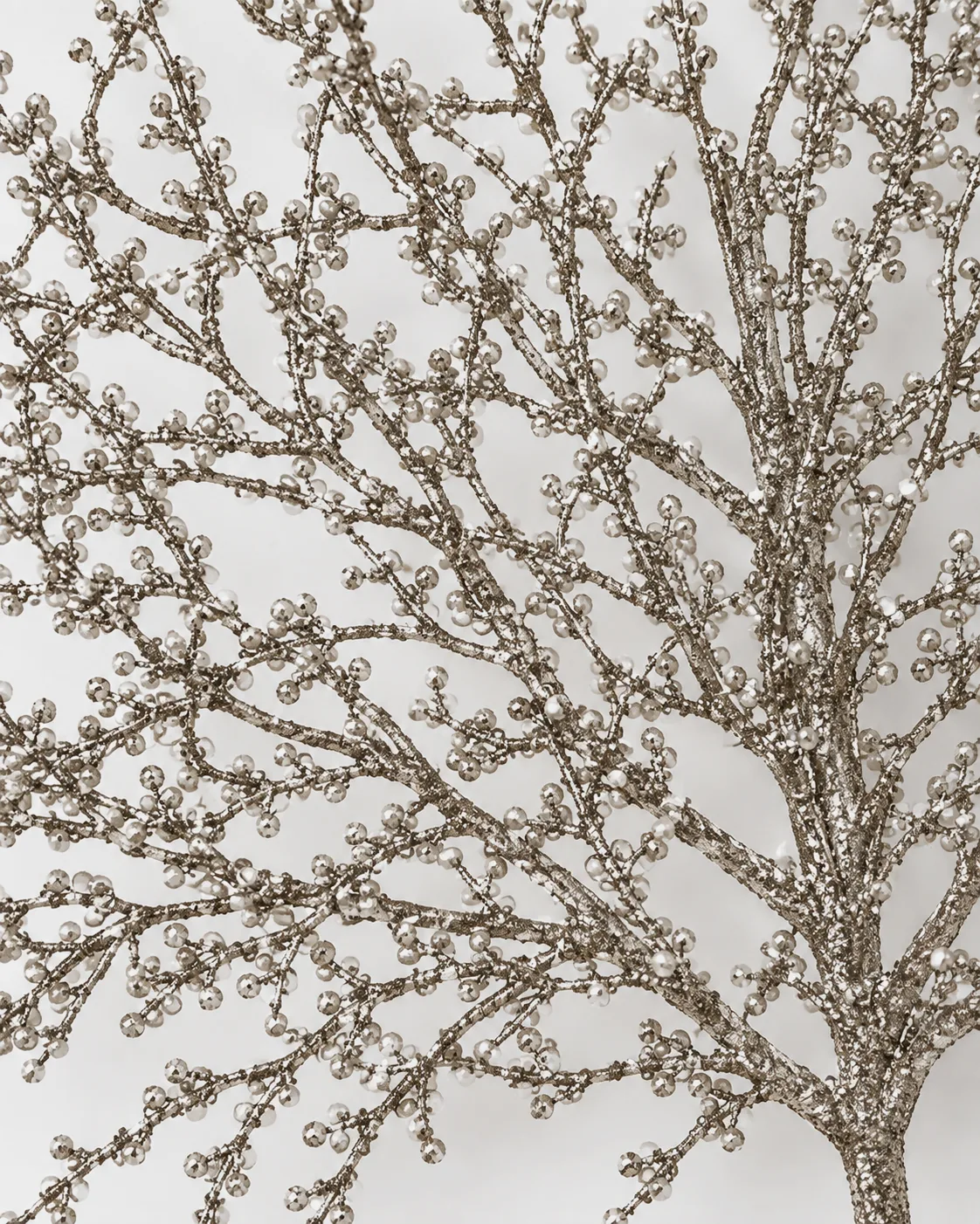 Coral, silver