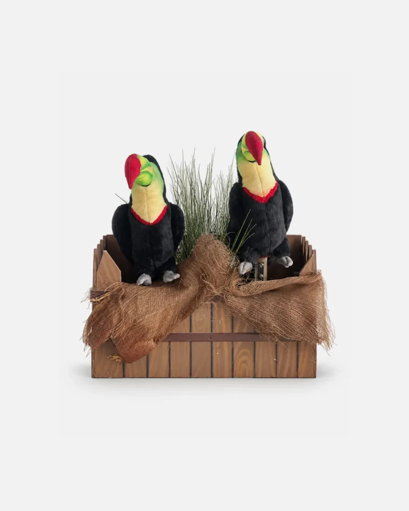 Deux toucans Dans boite