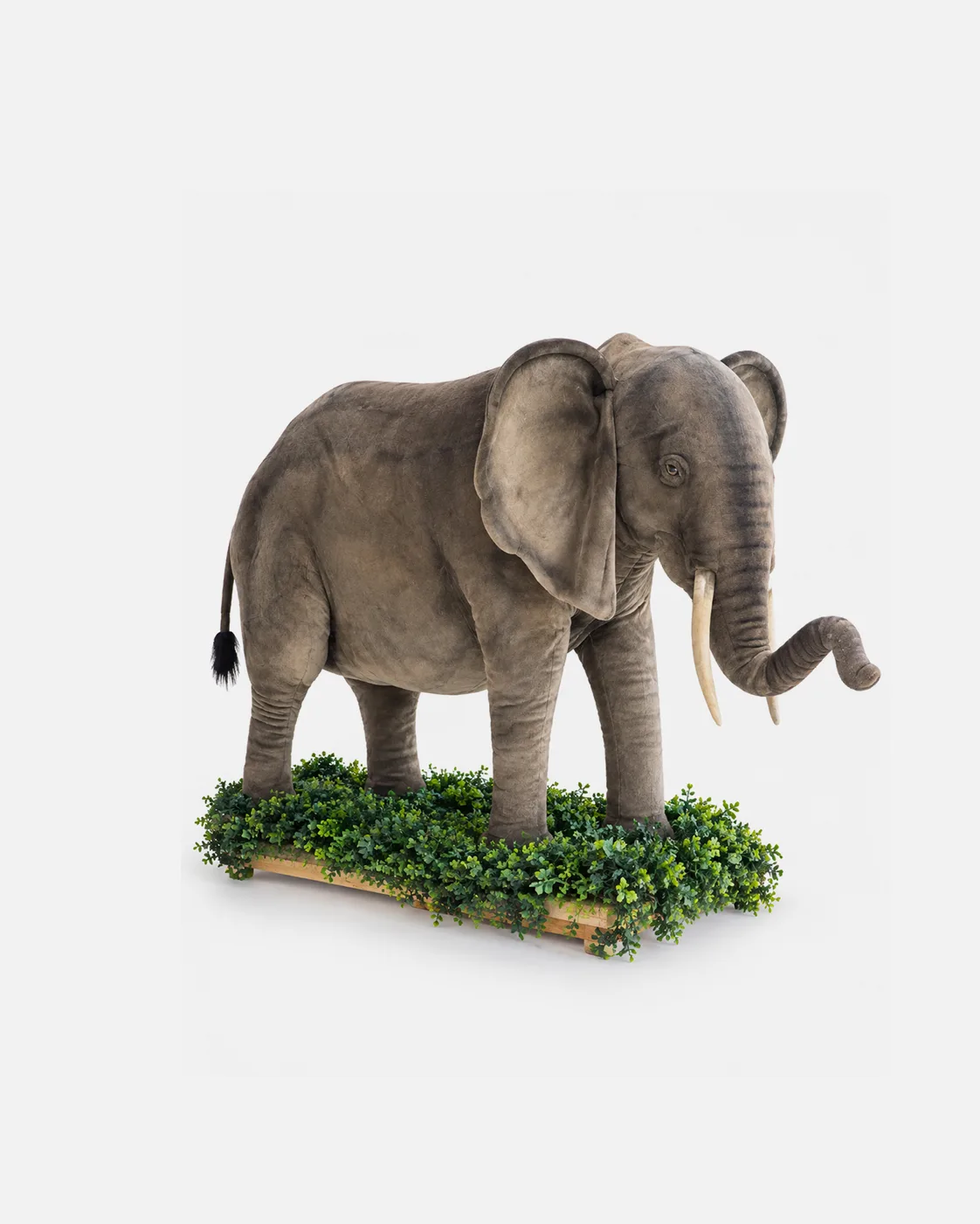 Eléphant