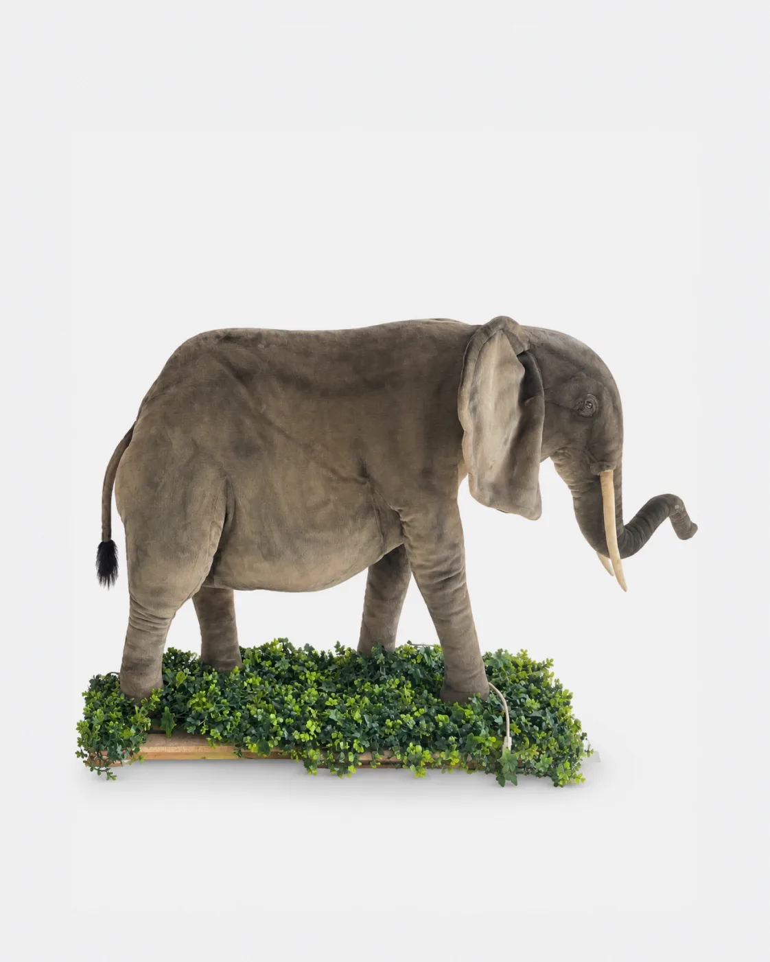 Eléphant