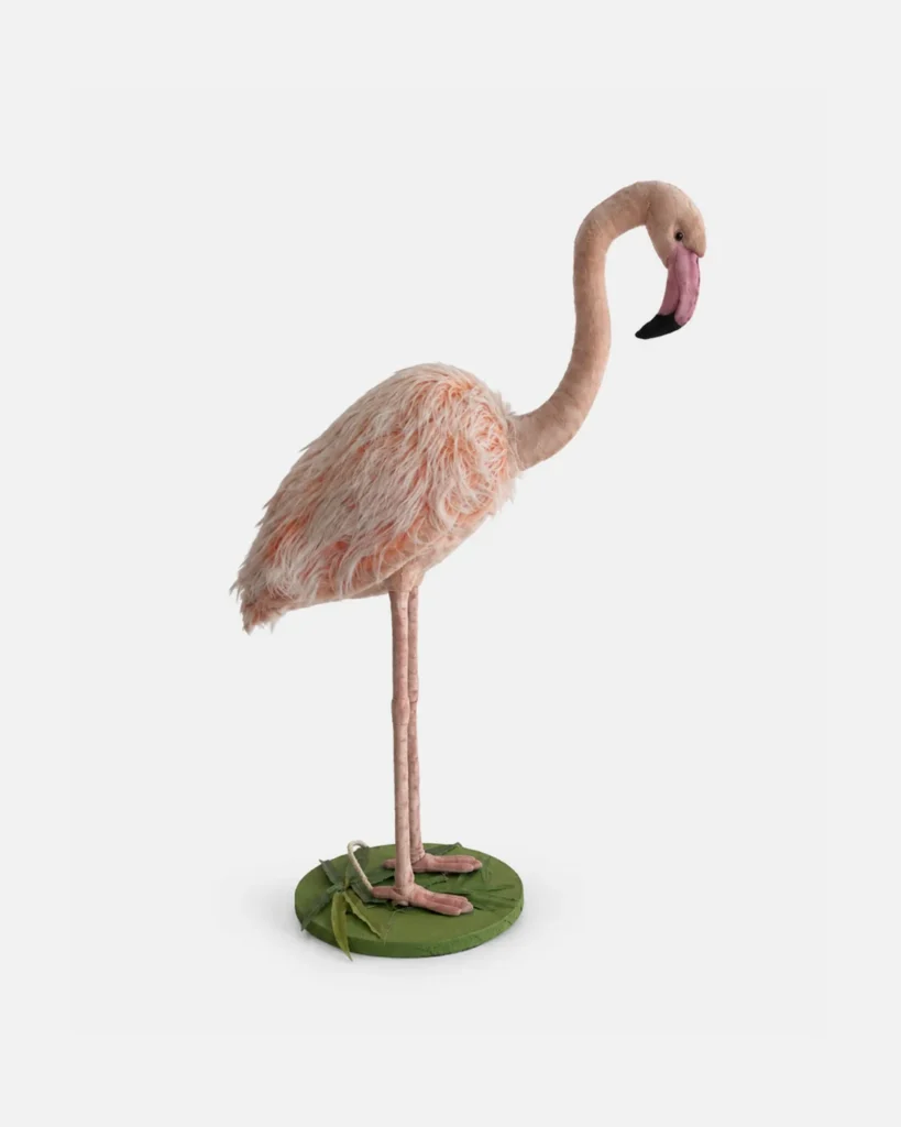 Flamant rose