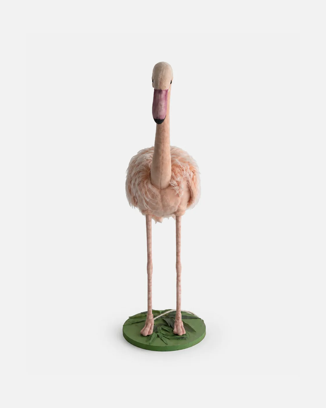 Flamant rose