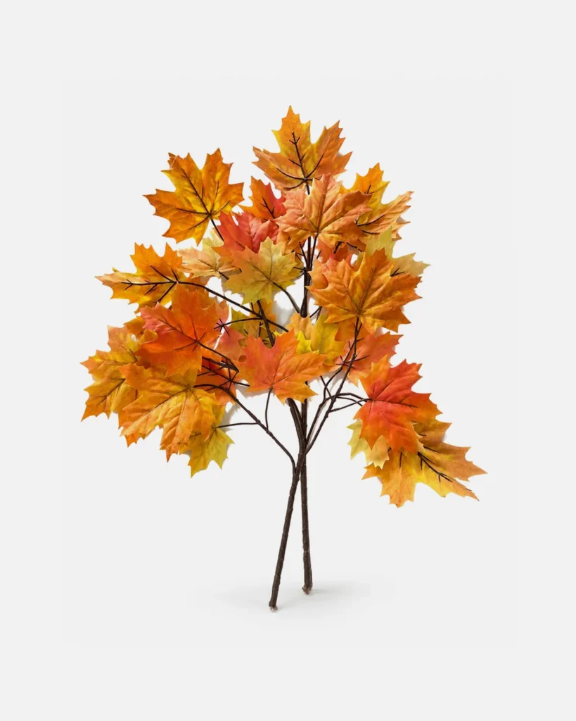 Fleurs, Bouquet, Erable orange