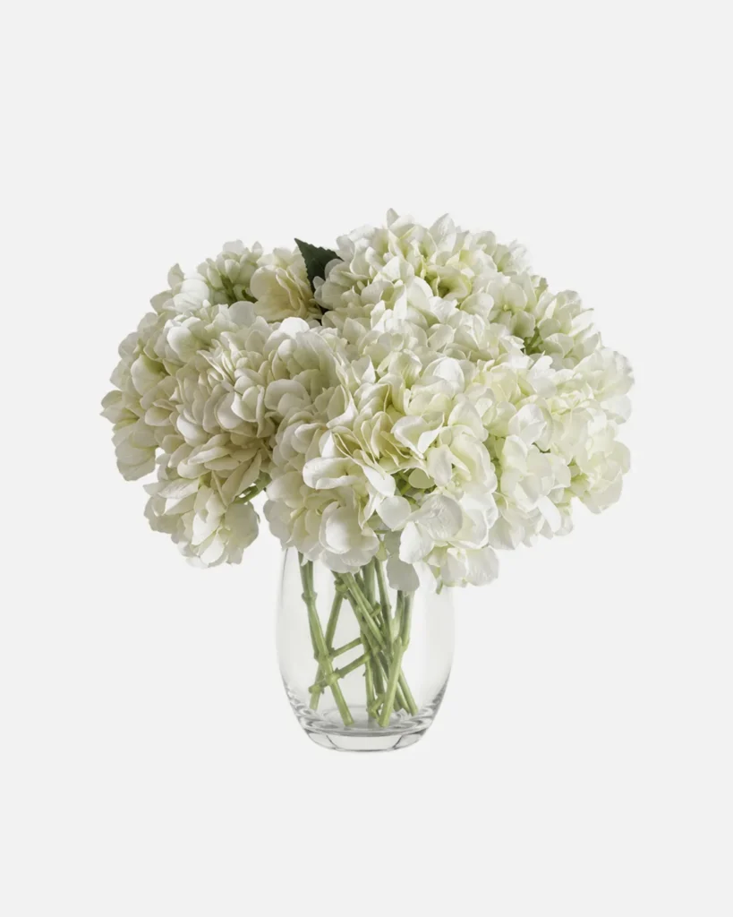 Fleurs, Bouquet, Hortensia, blanc