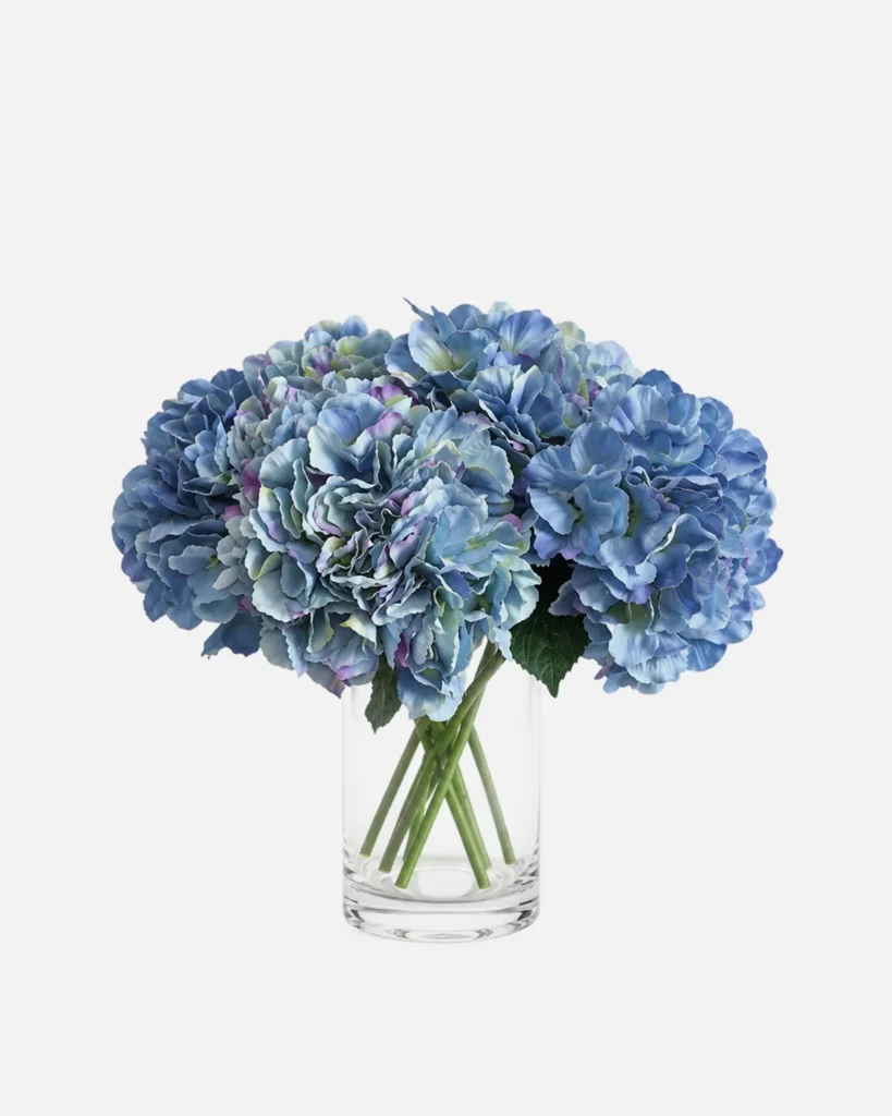 Fleurs, Bouquet, Hortensia, bleue