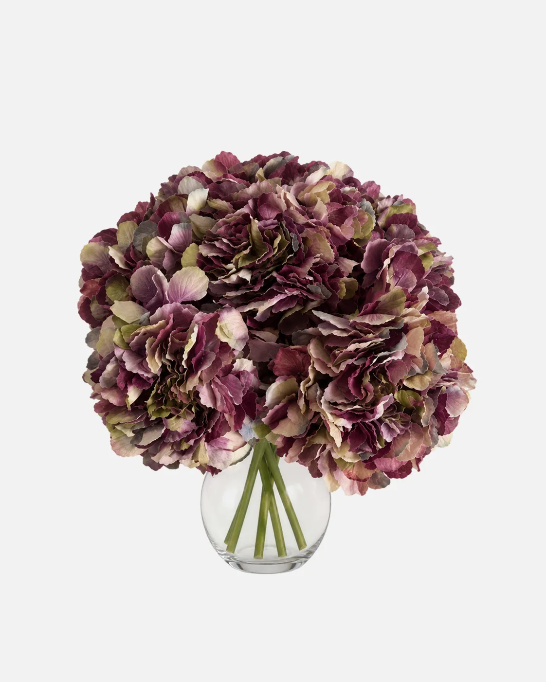 Fleurs, Bouquet, Hortensia, marbré