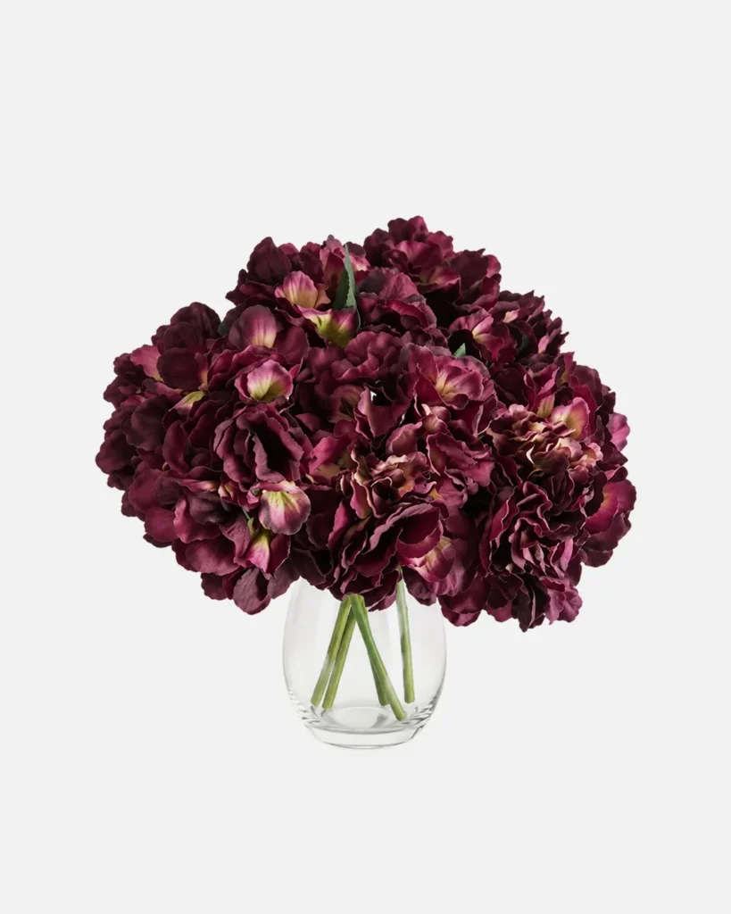 Fleurs, Bouquet, Hortensia, pourpre