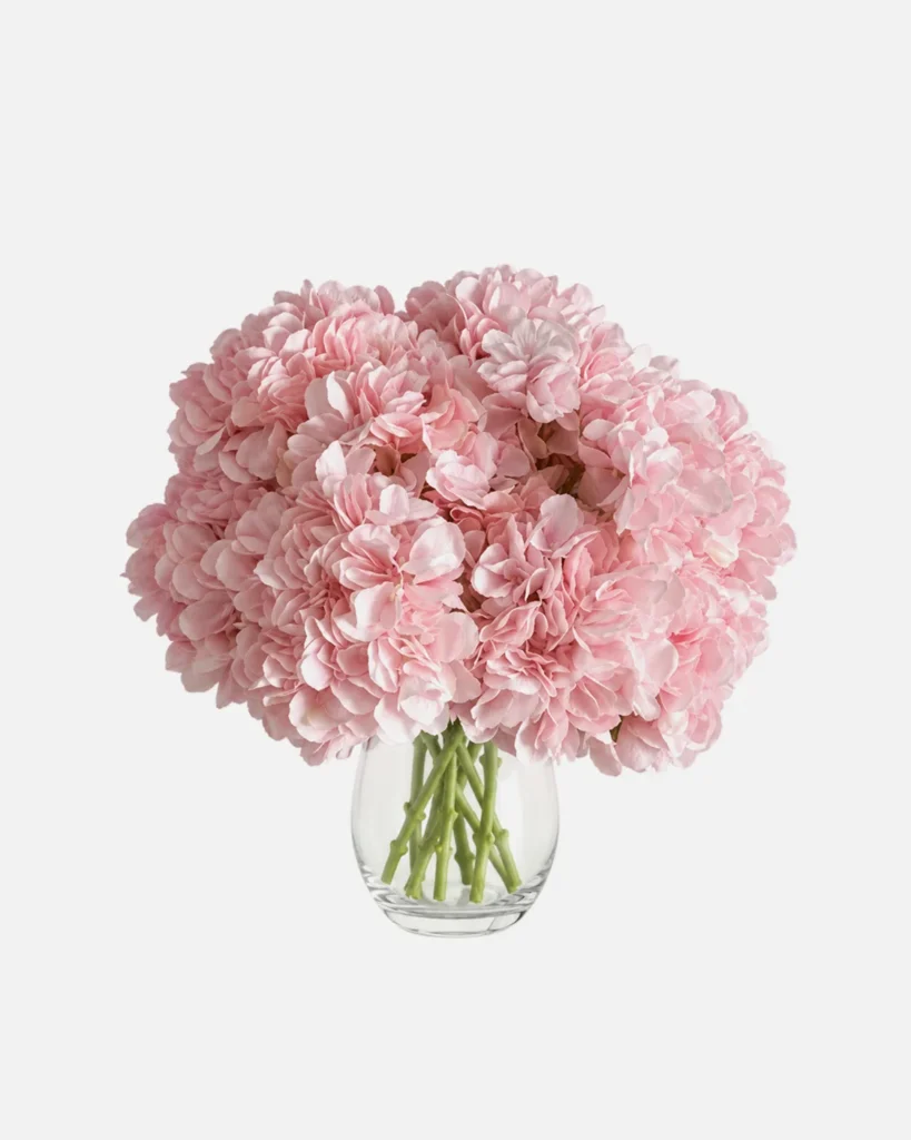 Fleurs, Bouquet, Hortensia, rose