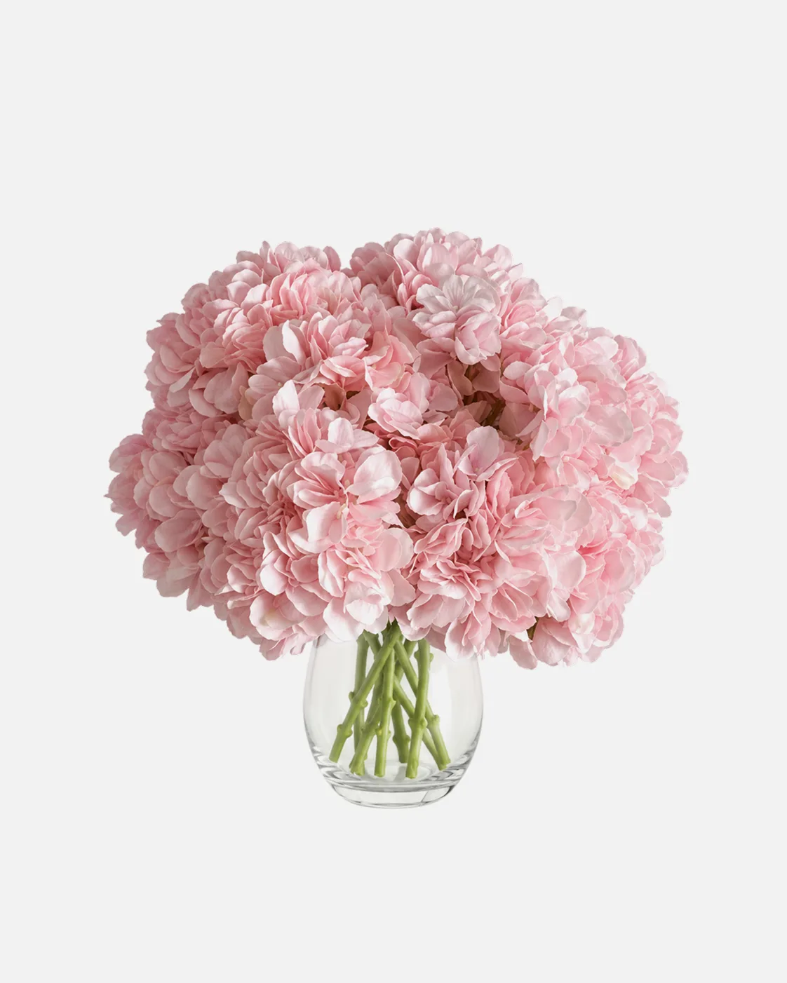 Fleurs, Bouquet, Hortensia, rose