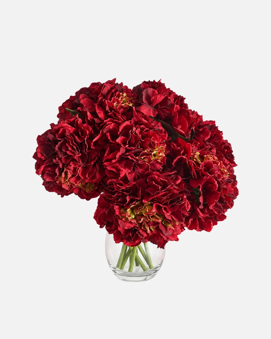 Fleurs, Bouquet, Hortensia, rouge