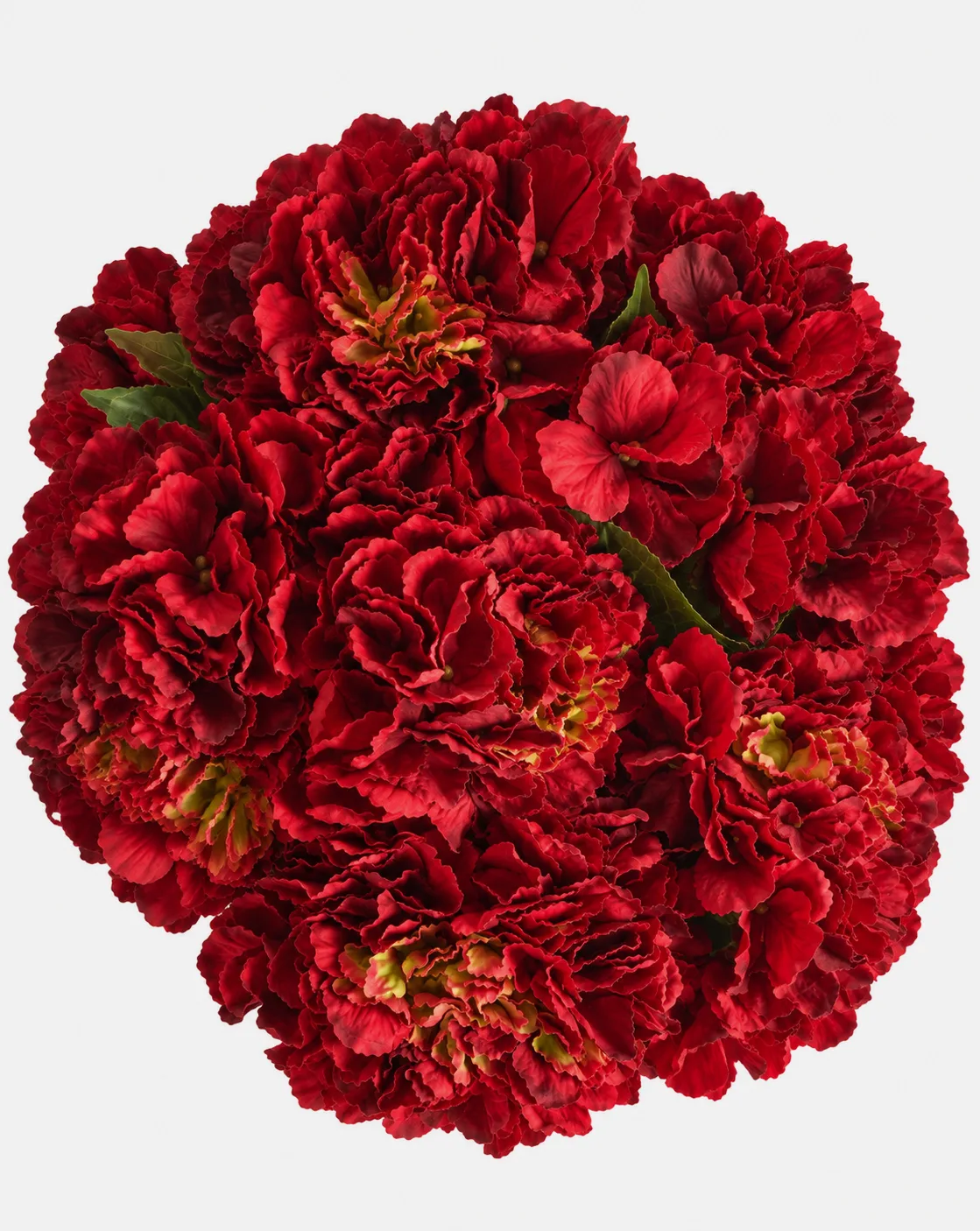Fleurs, Bouquet, Hortensia, rouge