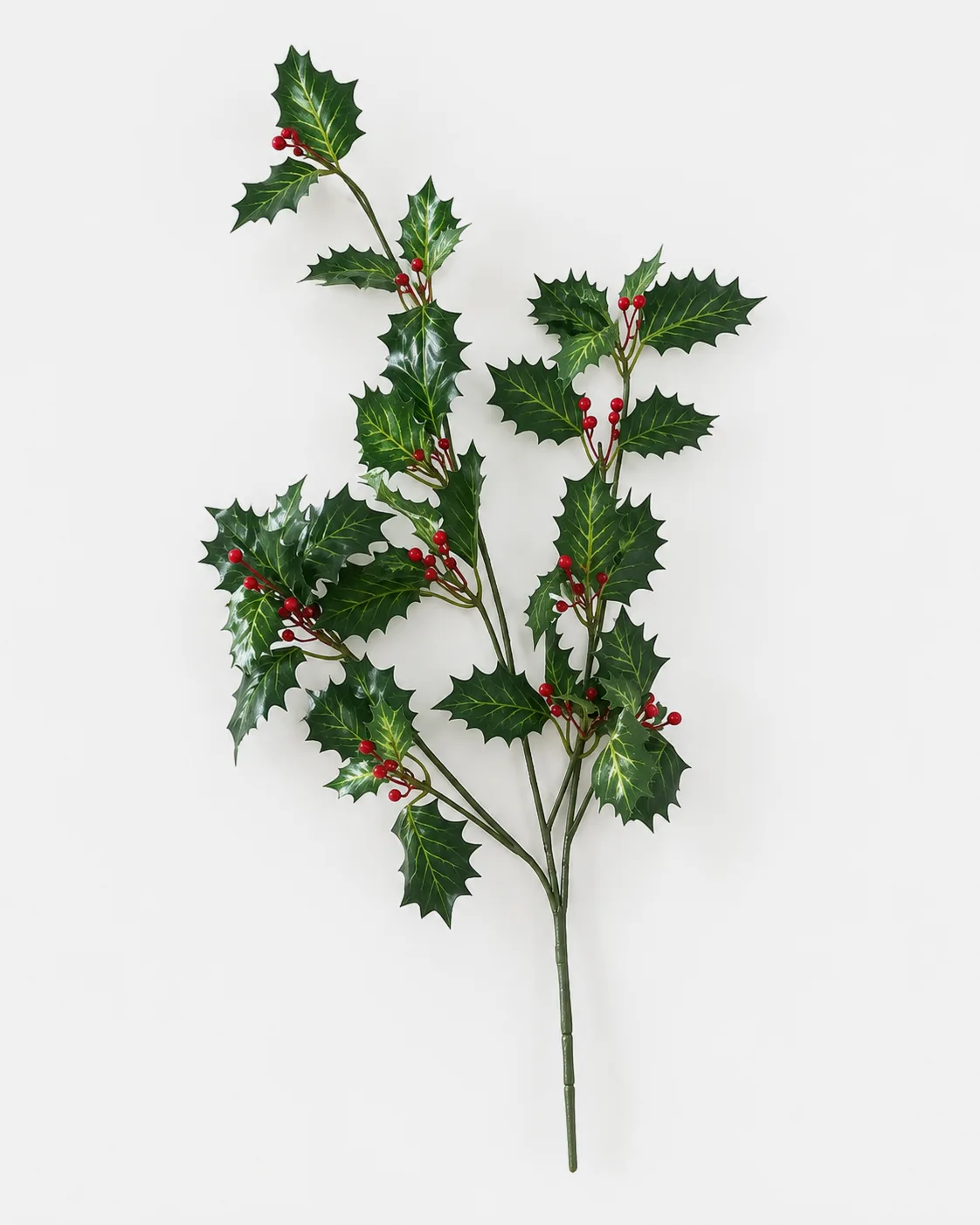 Fleurs, Bouquet, Houx