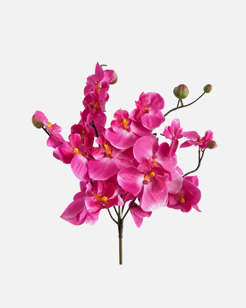 Fleurs, Bouquet, Orchidée, rose