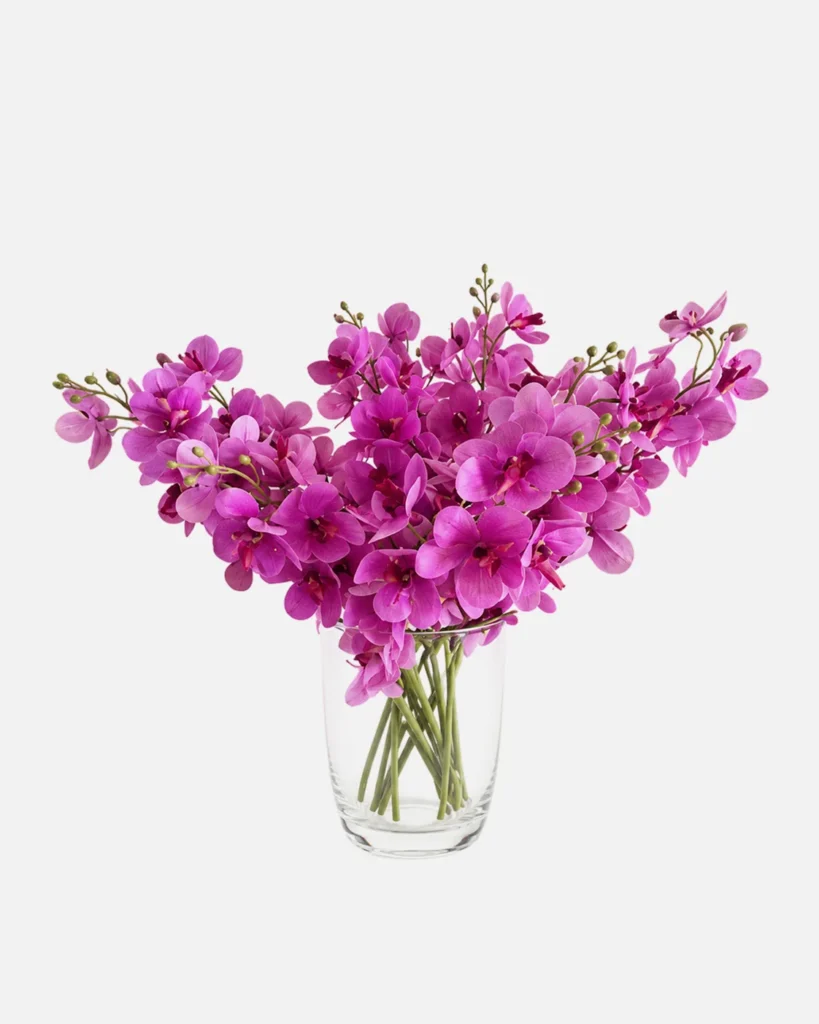 Fleurs, Bouquet, Orchidée, violet