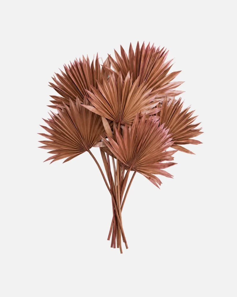 Fleurs, Bouquet, Palm rosé