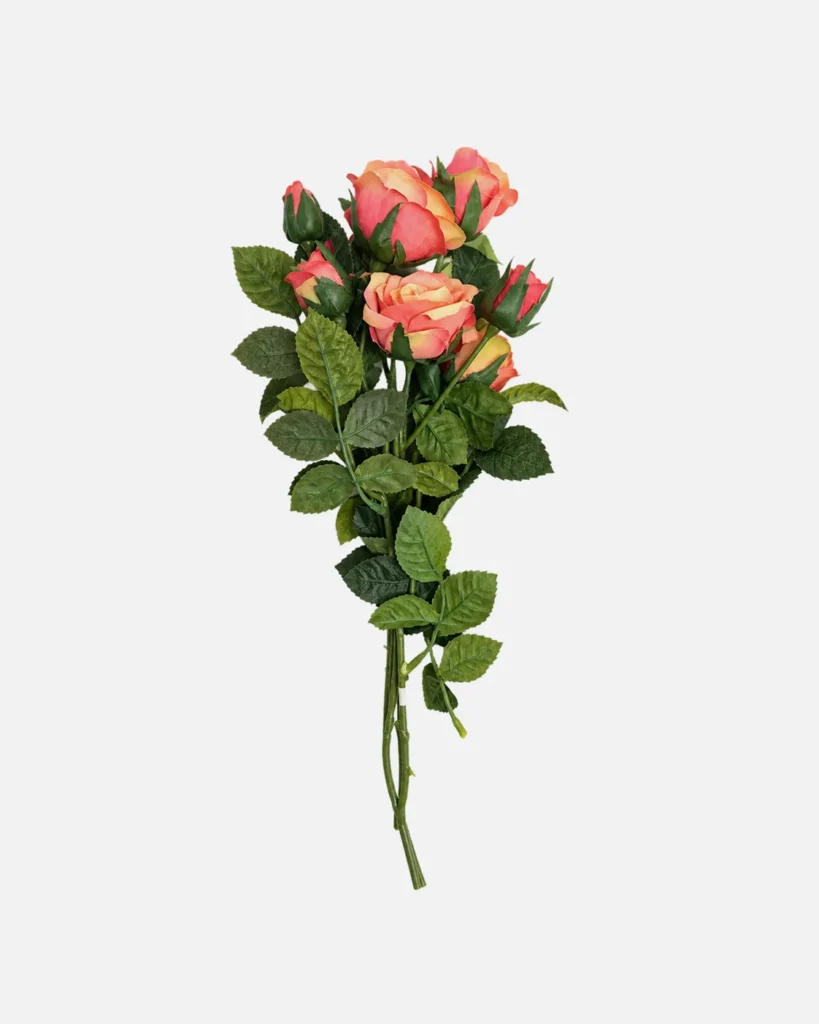 Fleurs, Bouquet, Rose rose mélangé