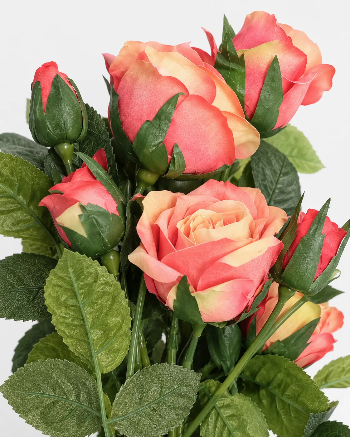 Fleurs, Bouquet, Rose rose mélangé