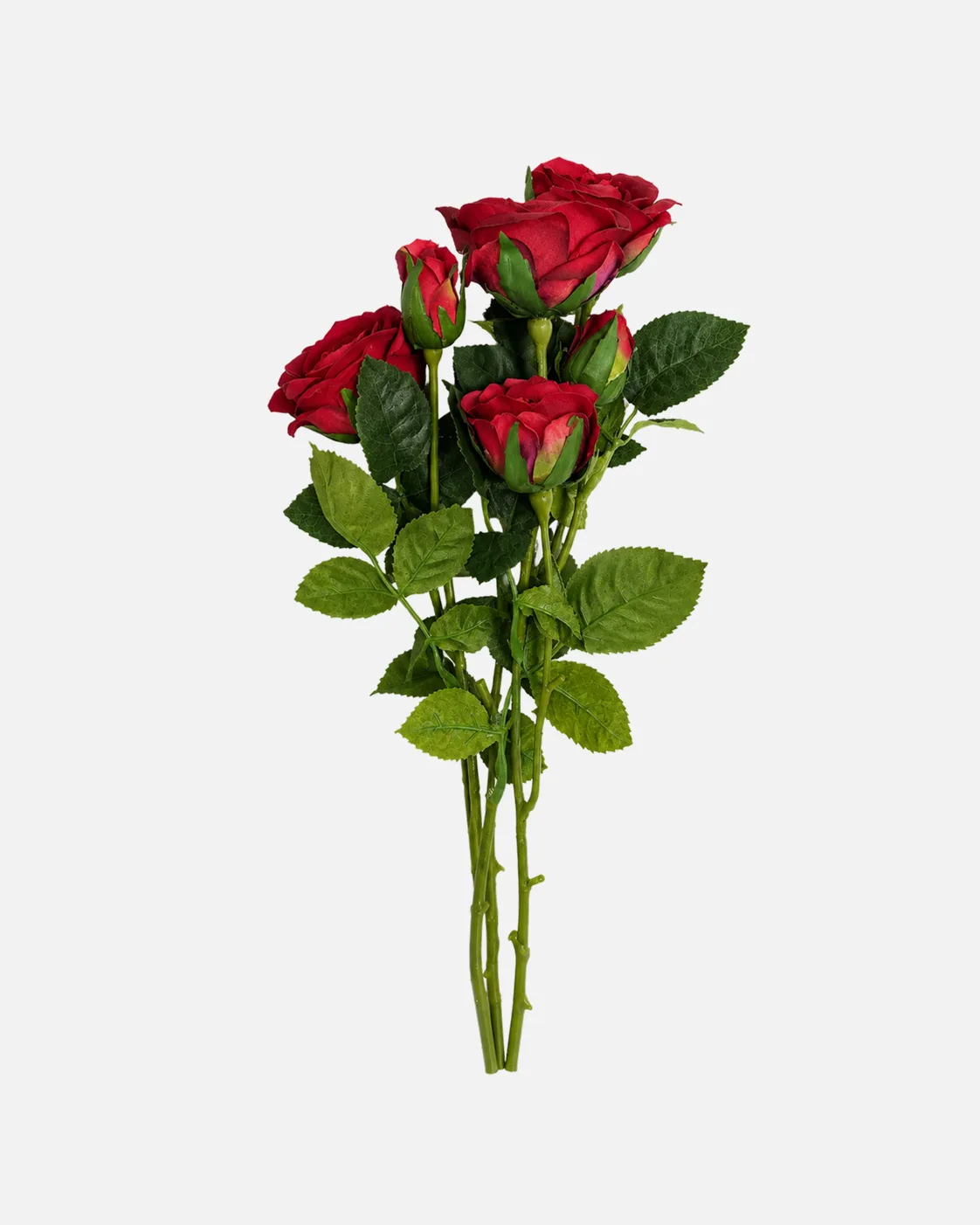 Fleurs, Bouquet, Rose rouge