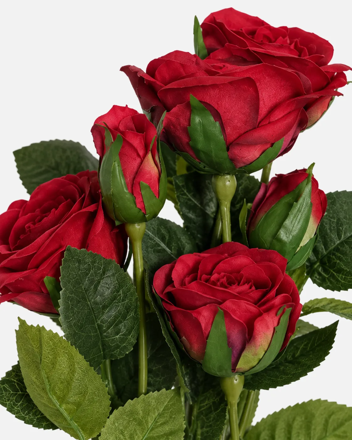 Fleurs, Bouquet, Rose rouge