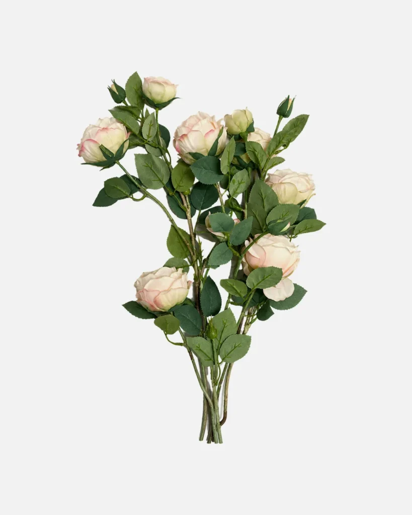 Fleurs, Bouquet, Rose vintage crème