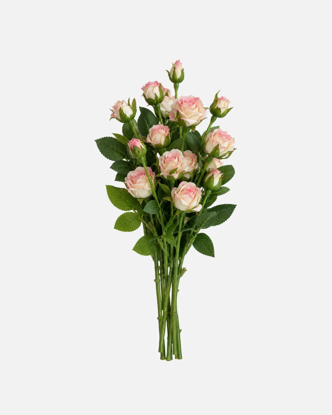 Fleurs, Bouquet, Rose, Vintage English Rose