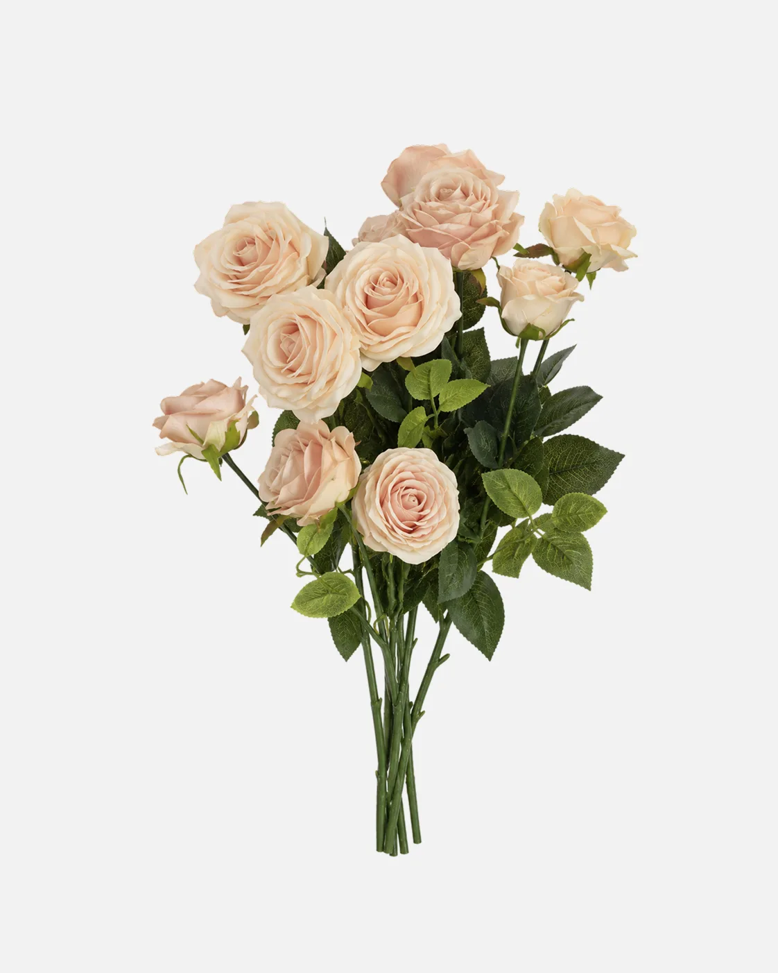 Fleurs, Bouquet, Rose Vintage English rose pale