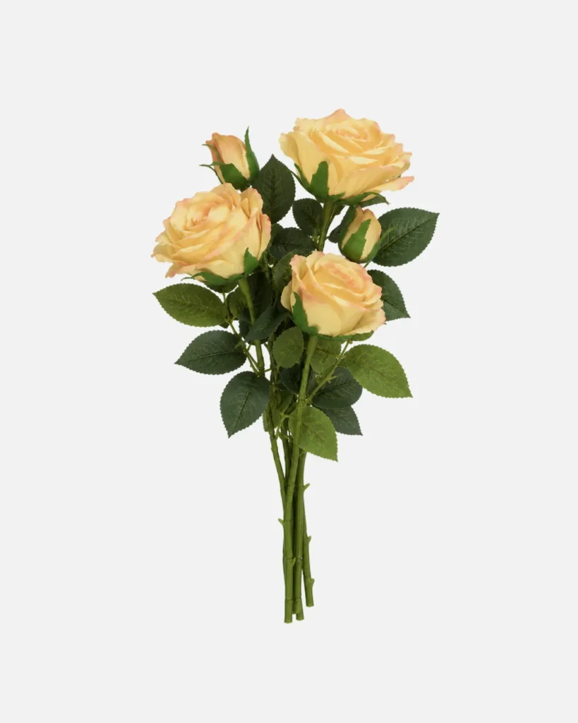 Fleurs, Bouquet, Rose vintage jaune pale