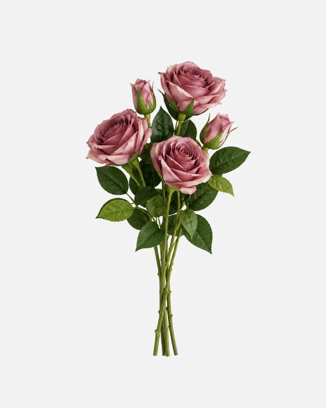 Fleurs, Bouquet, Rose vintage vieux rose